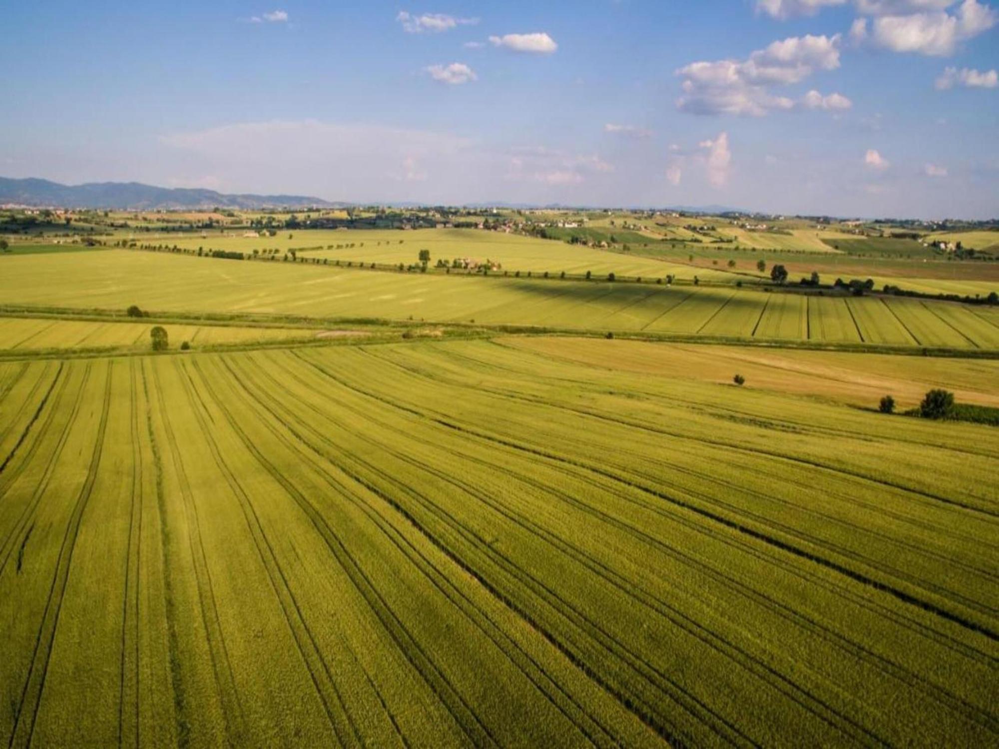 Belvilla By Oyo Mulino Cortona Zewnętrze zdjęcie